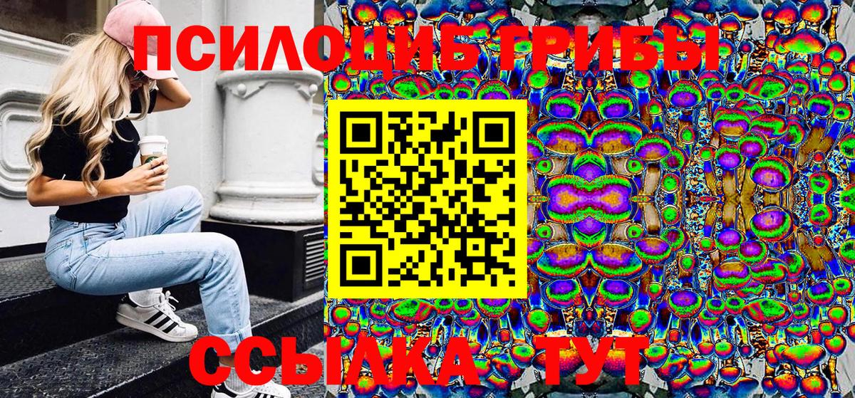 Псилоцибиновые грибы мицелий  Вход с VPN  Сокол 